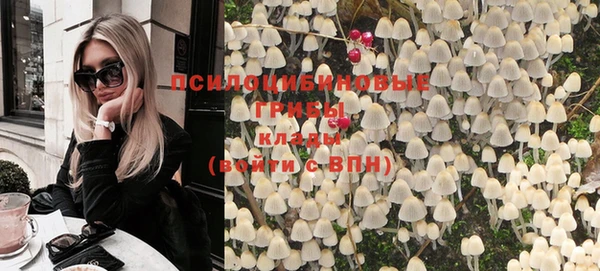 винт Балахна