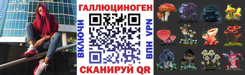 купить наркотики цена  Печоры  сайты даркнета клад  Псилоцибиновые грибы Psilocybe 